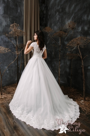 Wedding dress №570