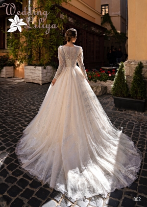 Wedding dress №802