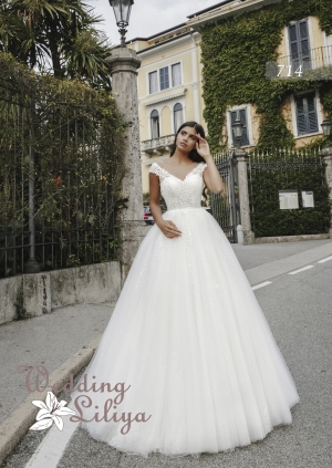 Wedding dress №714