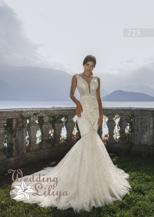 Wedding dress №725