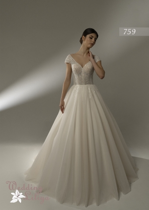 Wedding dress №759