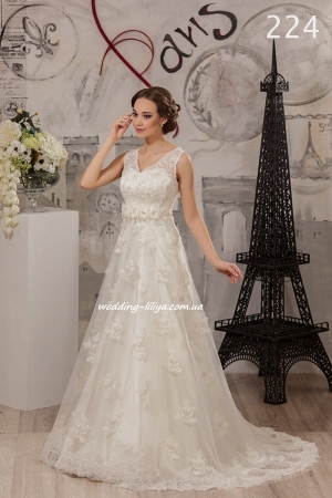 Wedding dress №224